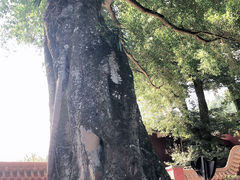 -福清灵石山国家森林公园