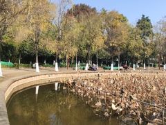 -月牙潭公园
