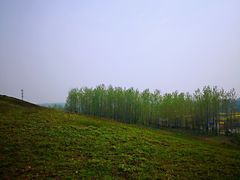 -恋山坝上草原