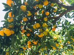 -滨江森林公园-真人CS野战场