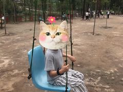 -东方巨龟苑景区