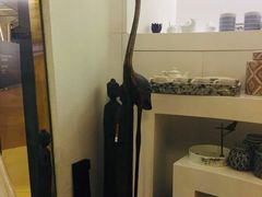 -Dragonfly悠庭·按摩Spa(浦东嘉里城店)