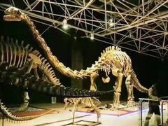 -世界恐龙谷景区