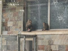 -哈尔滨北方森林动物园
