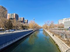 -南长河公园