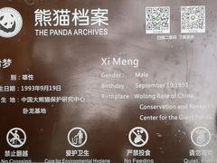 -都江堰中华大熊猫苑