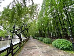 -乌镇东栅景区