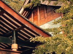 -乐山乌木文化博览苑