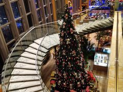 -视界美食自助餐厅·石家庄希尔顿酒店