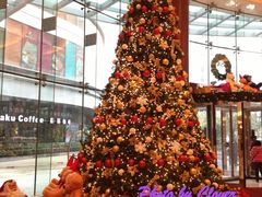 大堂-上海雅居乐万豪侯爵酒店