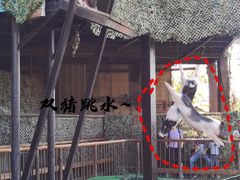 -长鹿旅游休博园