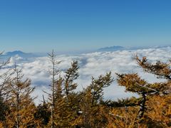 -富士山吉田線五合目