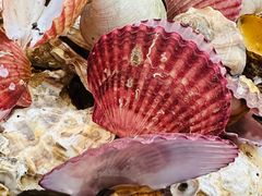 -和源祥·日照菜扛把子(万平口一店)