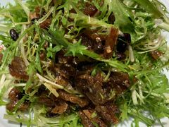 鲮鱼苦菊-光明渔港(海悦天地店)