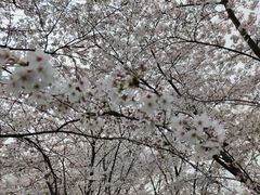 -龙美术馆(西岸馆)