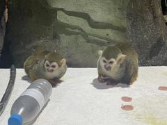 -泉城欧乐堡海洋极地世界