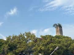 -江心屿景区