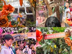 -正佳雨林生态植物园