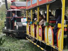 -美心红酒小镇游乐园