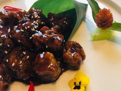 -蝶园·装修中(BFC外滩金融中心店)