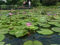 -云溪植物园