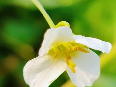 -中国天府农业博览园