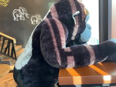 -ZOO COFFEE动物园咖啡(望京锐创店)