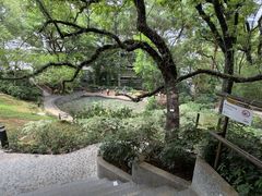 -香港大学