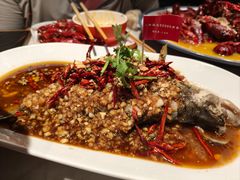 -杨氏青龙虾·羊蝎子(金盛路总店)