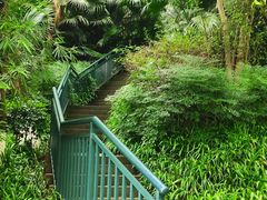 -重庆彩云湖湿地公园