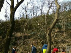 -上海佘山国家森林公园西佘山园