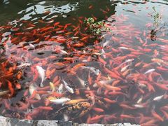 -竹泉村旅游度假区