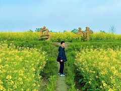-乌村