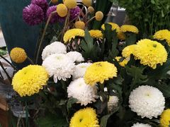 -小海豚国际游泳培训中心(浦东塘桥店)