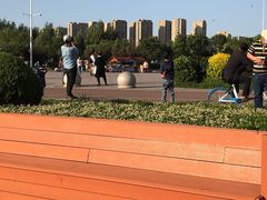 -丁香湖公园