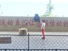 -东方熊牧场