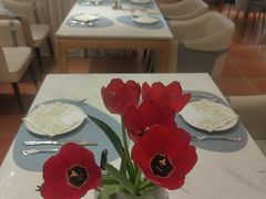 -伊斯坦布尔土耳其清真咖啡餐厅