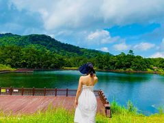 -海南热带雨林国家公园吊罗山景区