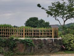 -中国茶叶博物馆(双峰馆区)