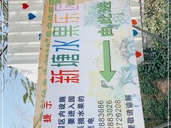 -新塘水果乐园(东洲大道店)