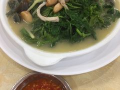 -蚝专家