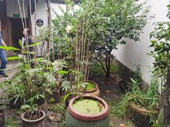 -院子餐厅·大锅菜·老杭帮(桥西直街店)