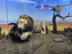 -国家自然博物馆