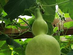 -大平台龙居瀑布旅游区