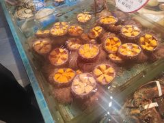 -连鹭海鲜·海肠捞饭·海胆饭(星海店)
