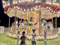 -采悦轩中餐厅·粤菜·海南菜(神州半岛喜来登度假酒店)