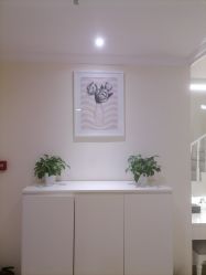 -SILKTONE诗丽堂美容