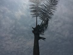 -汤山欢乐水世界