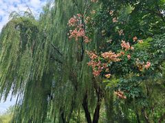 -唐城墙遗址公园