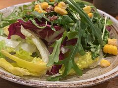 果蔬沙拉-青年公社烤鸭(蜀山万象汇店)
